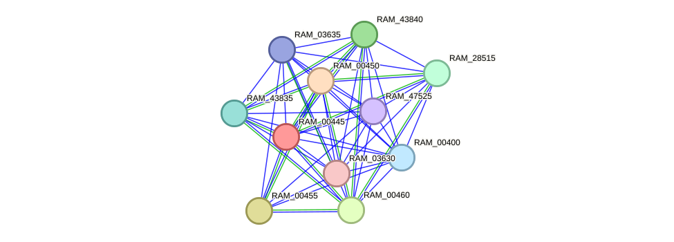 STRING protein interaction network
