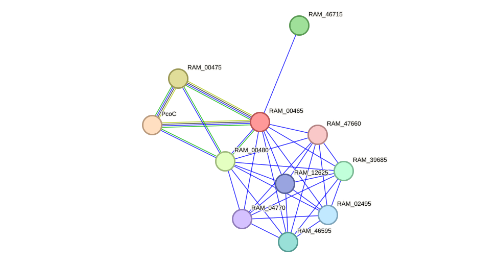 STRING protein interaction network