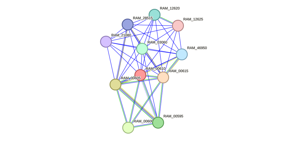 STRING protein interaction network