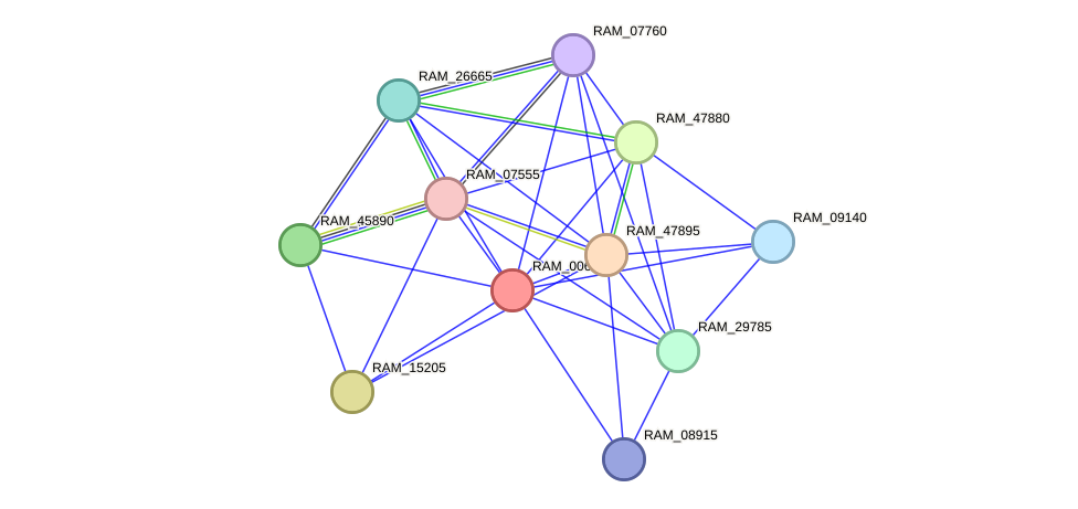 STRING protein interaction network