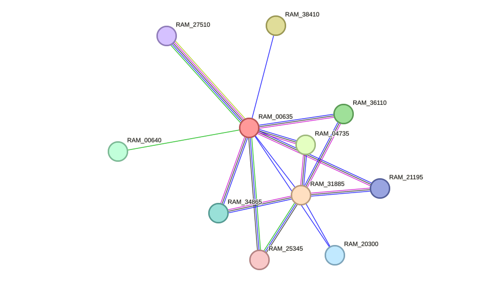 STRING protein interaction network