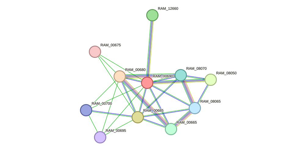 STRING protein interaction network