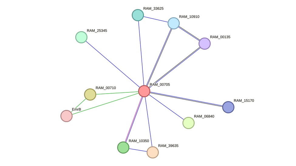 STRING protein interaction network