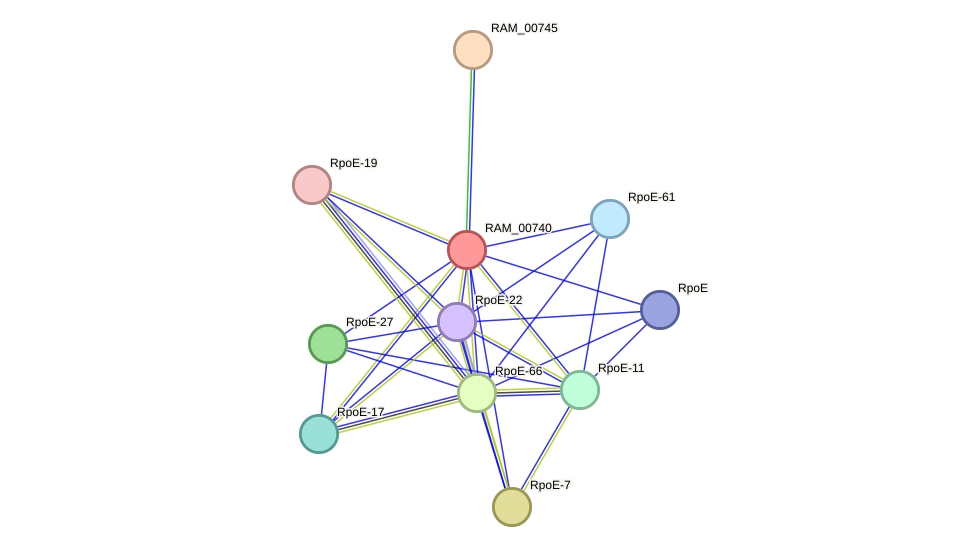 STRING protein interaction network