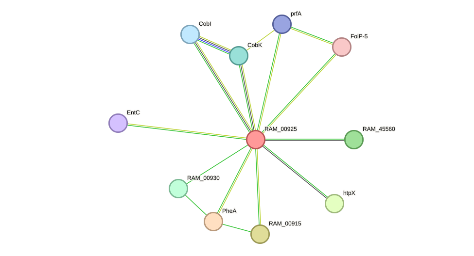 STRING protein interaction network