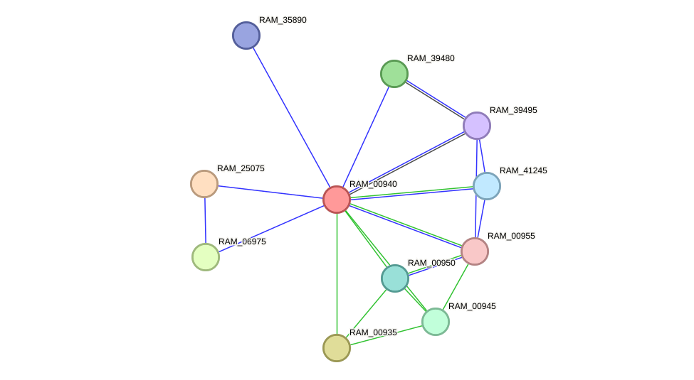 STRING protein interaction network