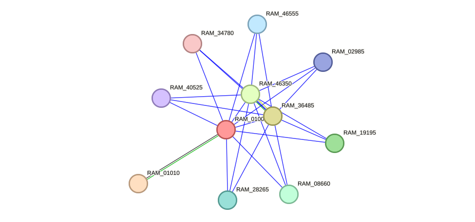 STRING protein interaction network