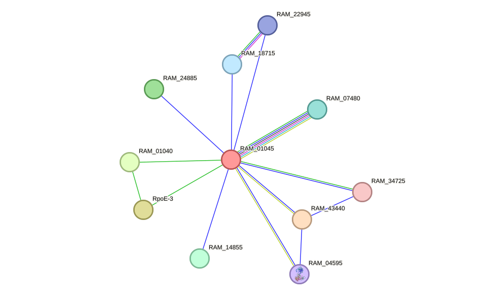 STRING protein interaction network