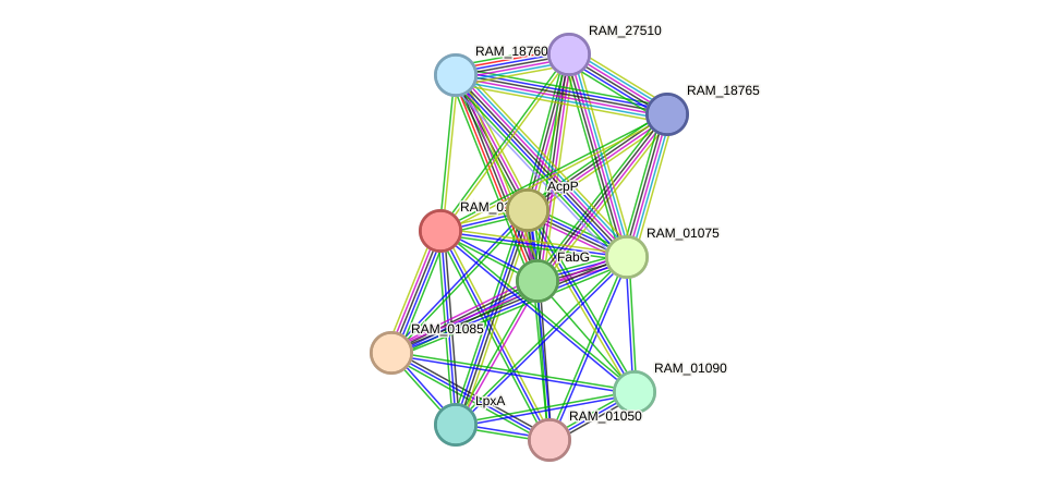 STRING protein interaction network
