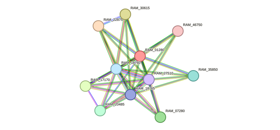 STRING protein interaction network