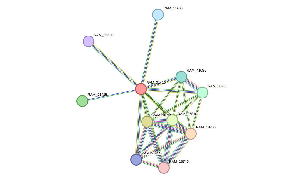 STRING protein interaction network