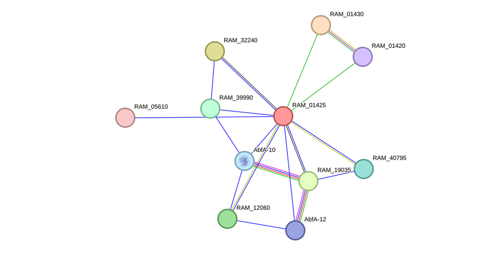 STRING protein interaction network