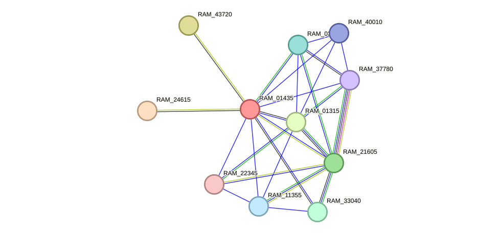 STRING protein interaction network