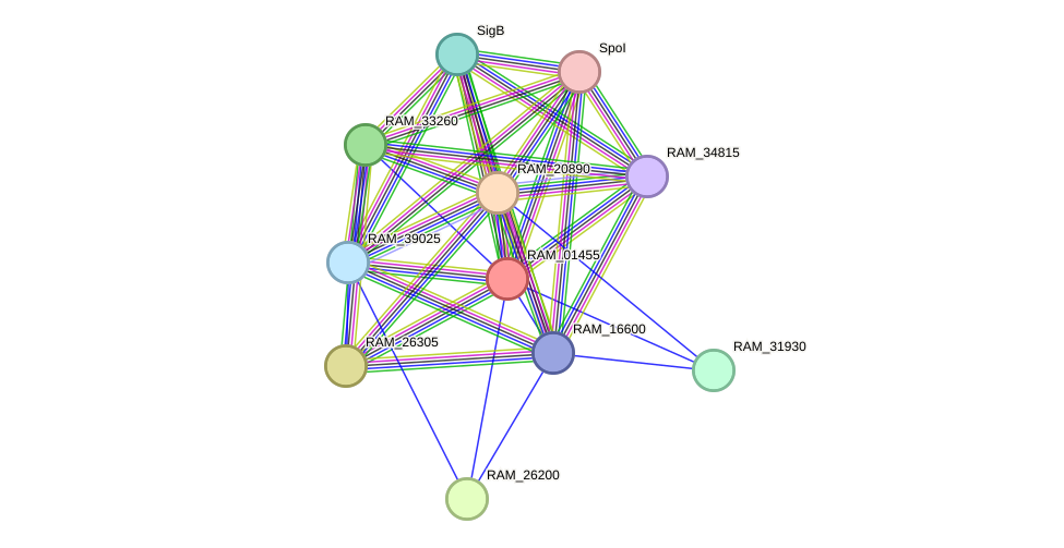 STRING protein interaction network