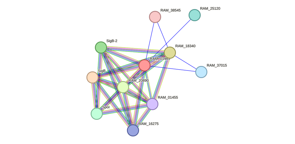 STRING protein interaction network