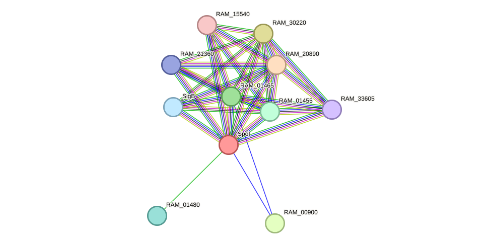 STRING protein interaction network