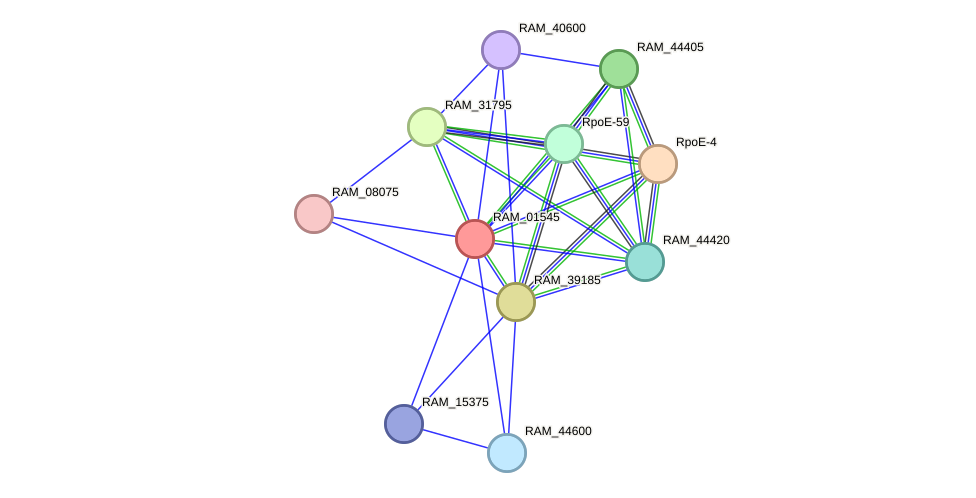 STRING protein interaction network