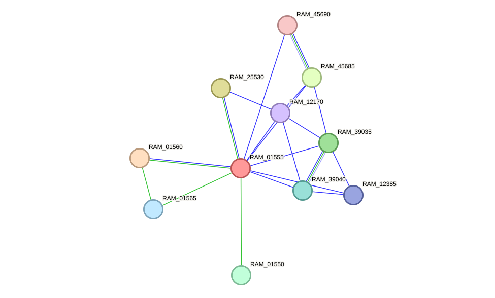 STRING protein interaction network