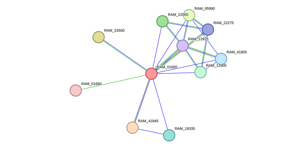 STRING protein interaction network