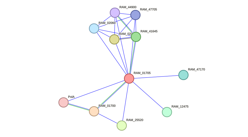 STRING protein interaction network