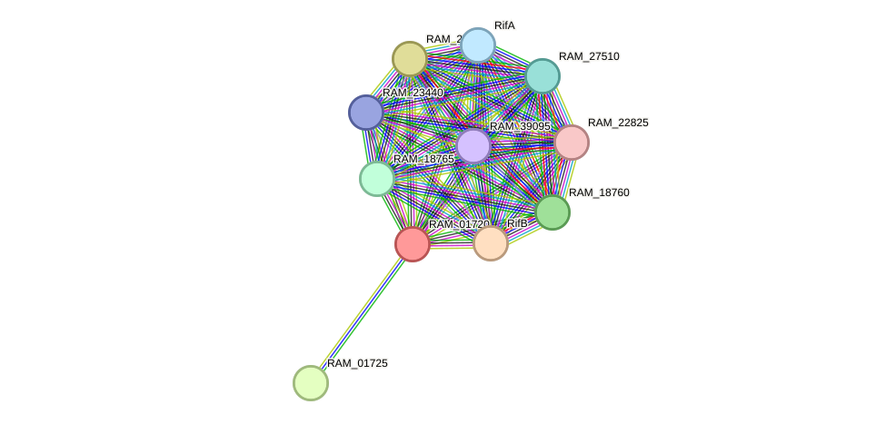 STRING protein interaction network