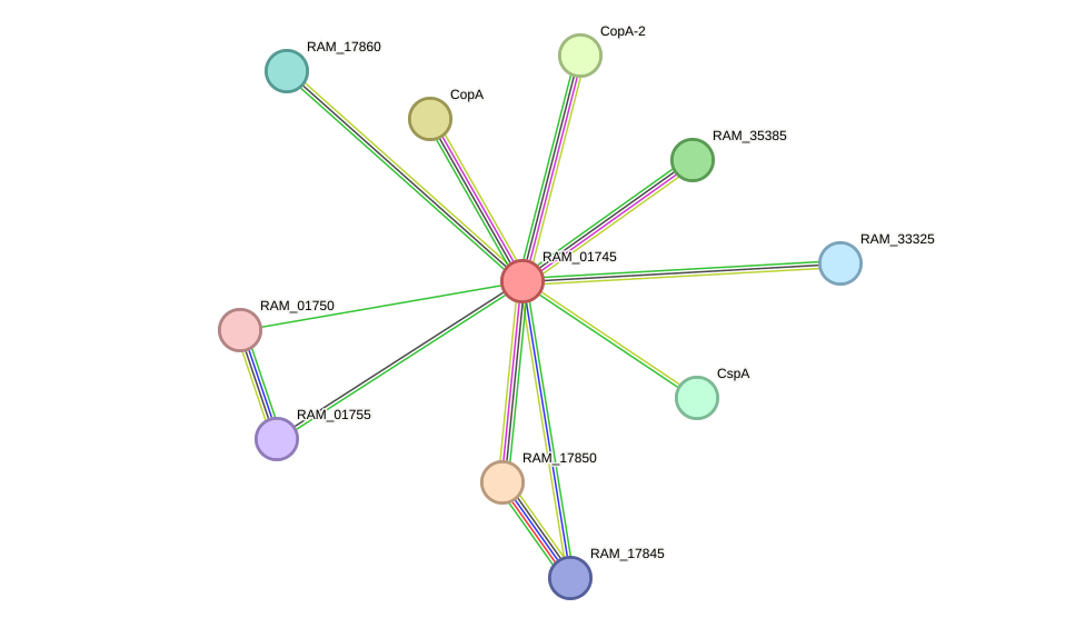 STRING protein interaction network