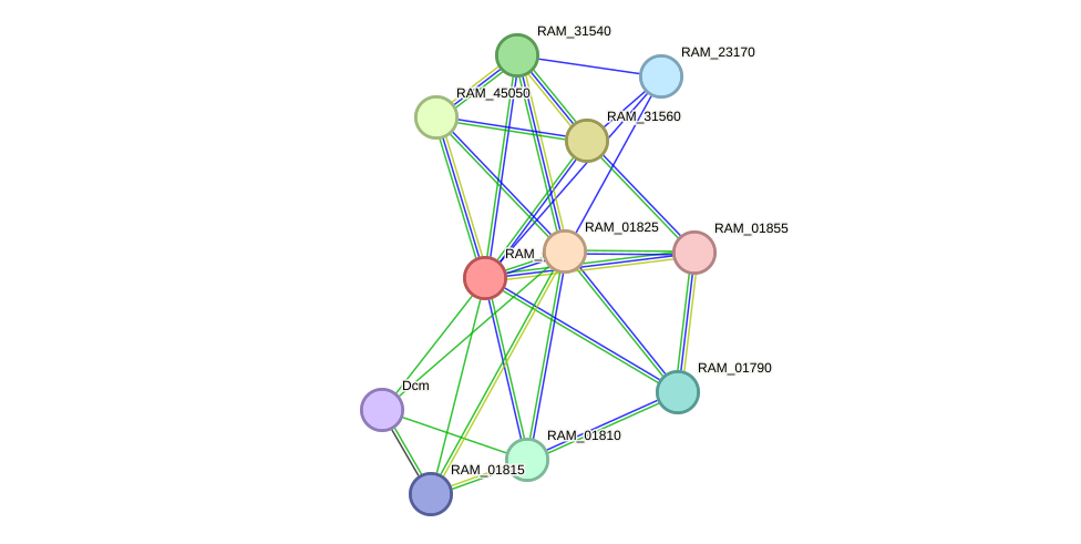 STRING protein interaction network