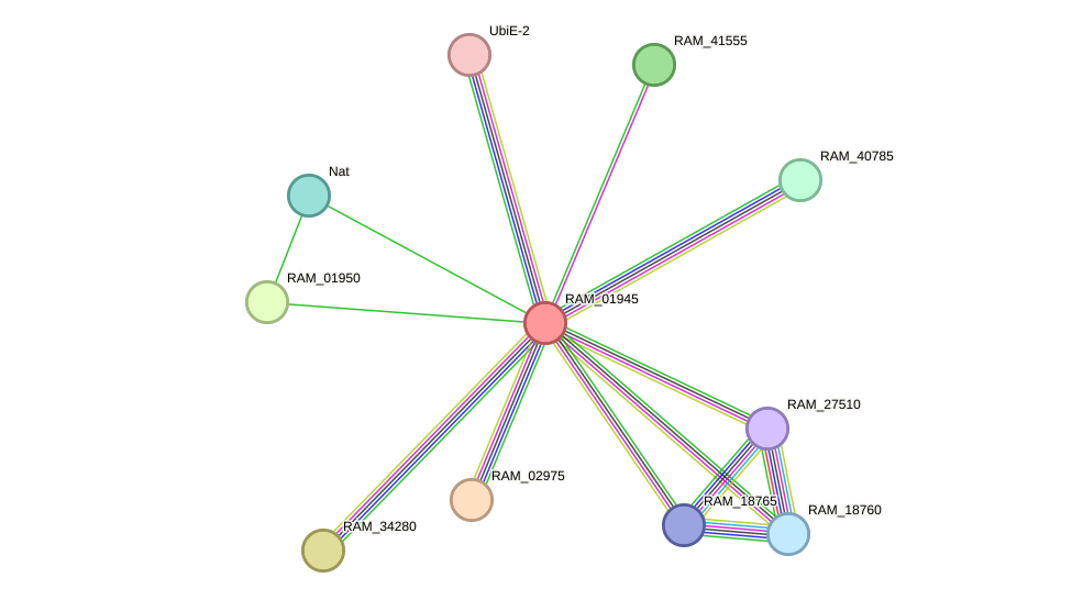 STRING protein interaction network