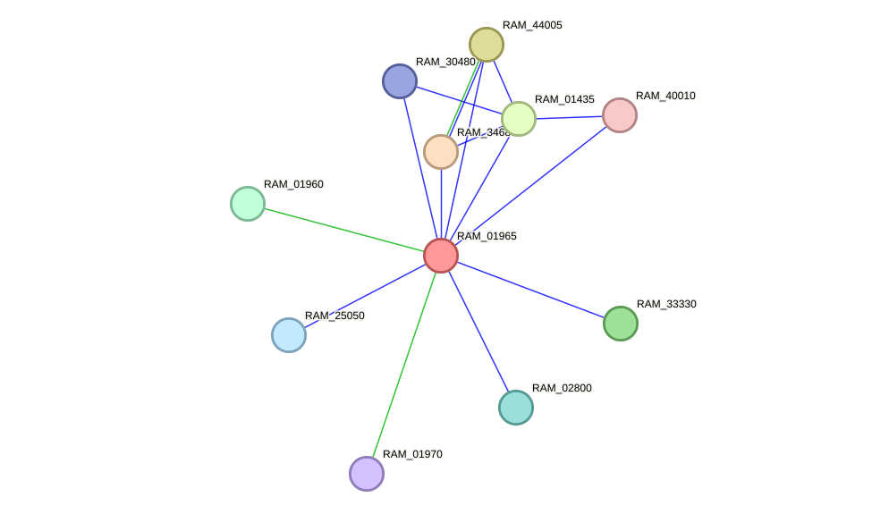 STRING protein interaction network