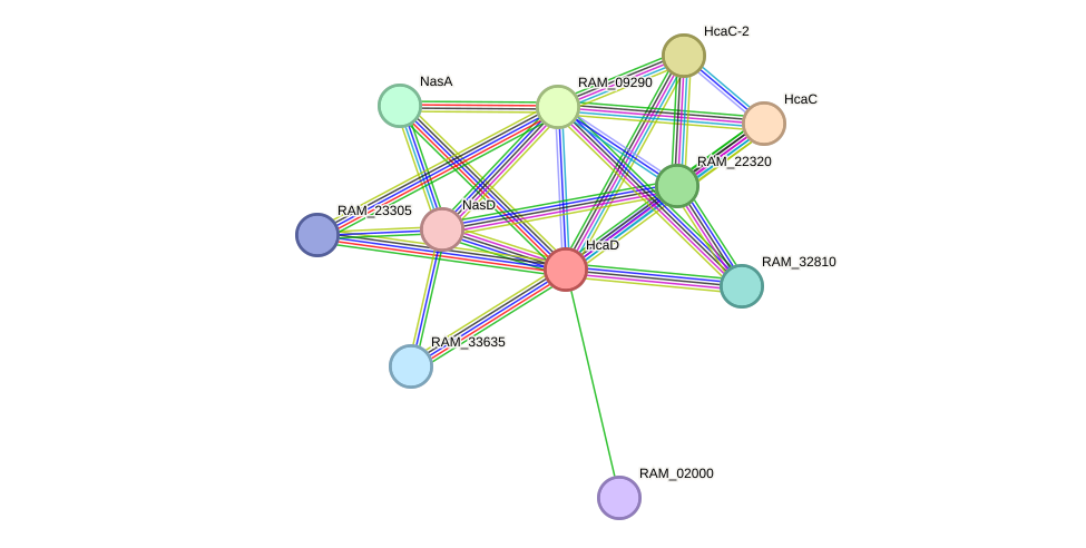 STRING protein interaction network