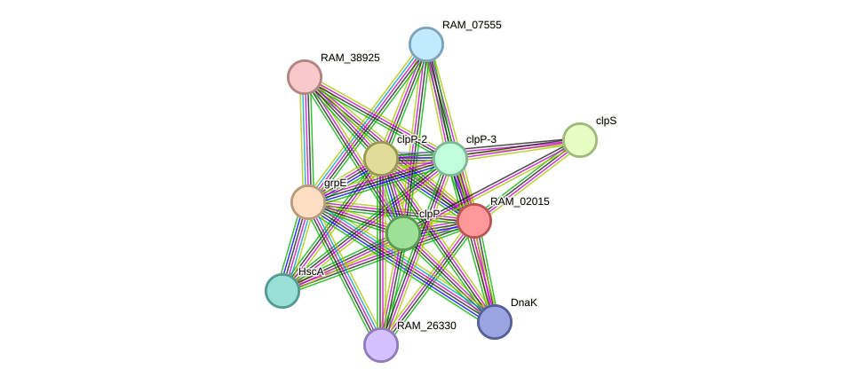 STRING protein interaction network