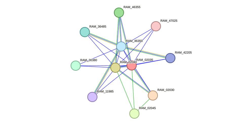 STRING protein interaction network