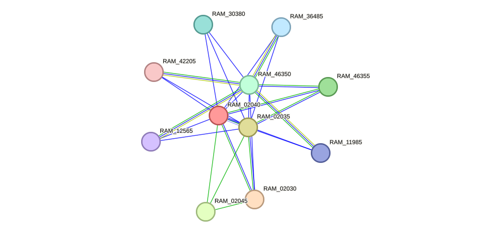 STRING protein interaction network