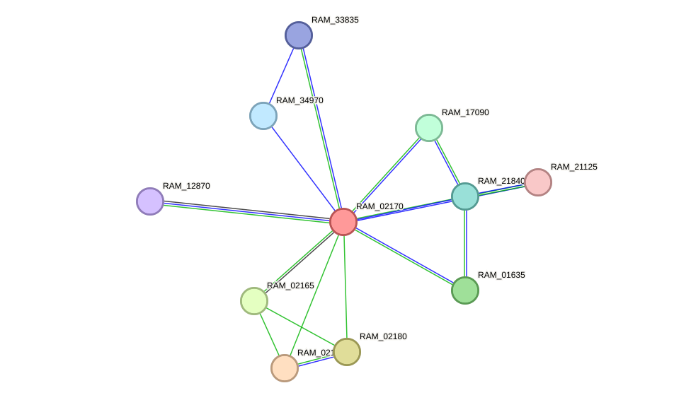 STRING protein interaction network