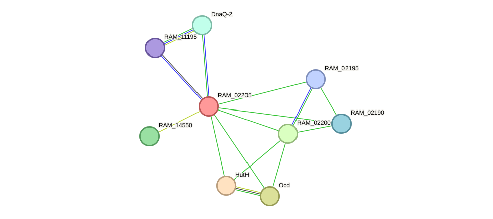 STRING protein interaction network