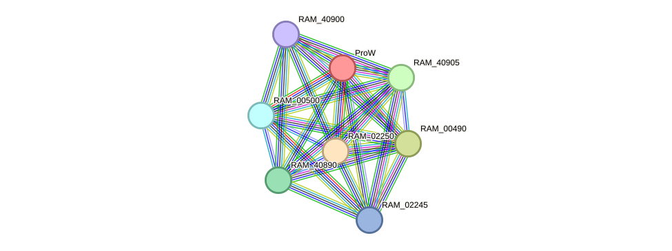 STRING protein interaction network