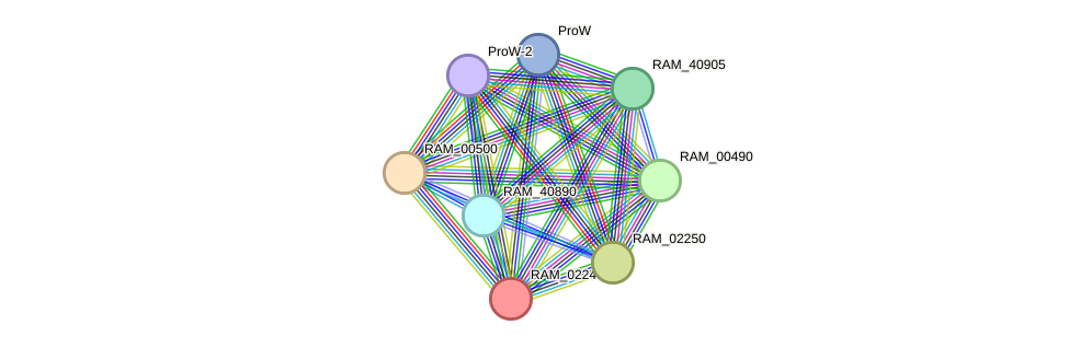 STRING protein interaction network