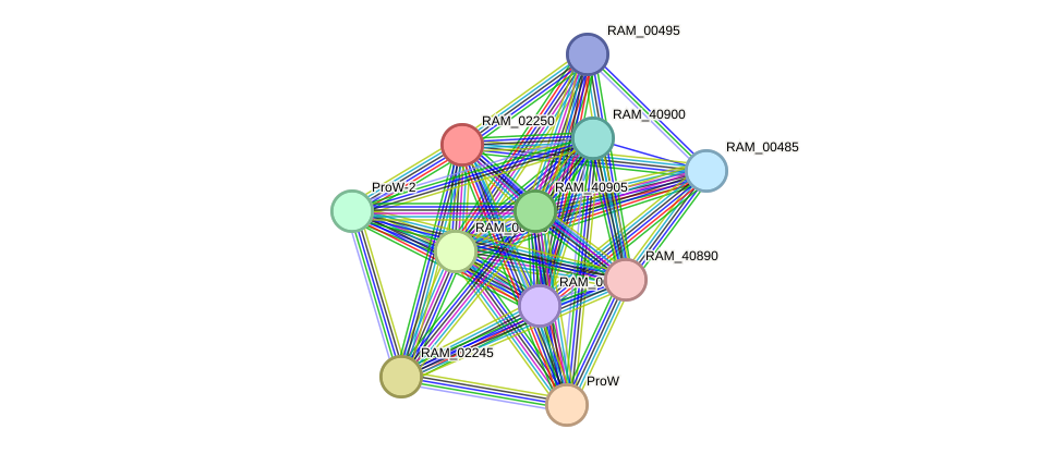 STRING protein interaction network