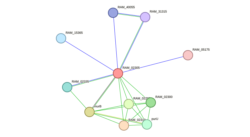 STRING protein interaction network