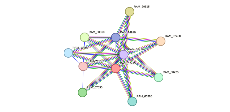 STRING protein interaction network