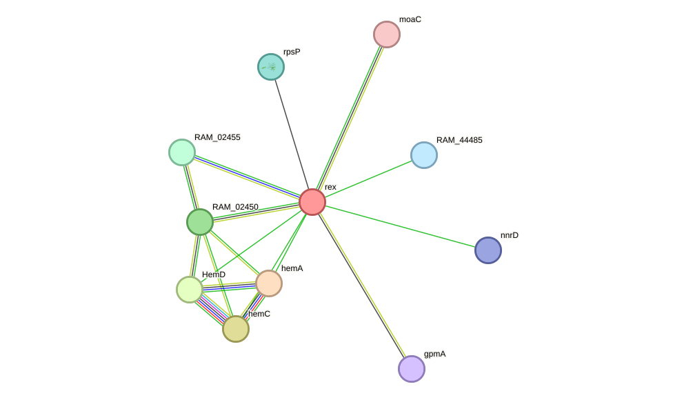 STRING protein interaction network