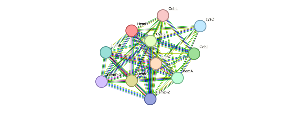 STRING protein interaction network