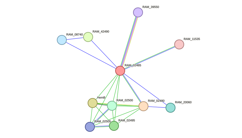 STRING protein interaction network