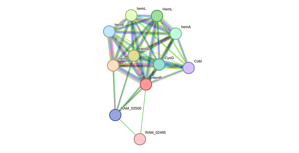 STRING protein interaction network
