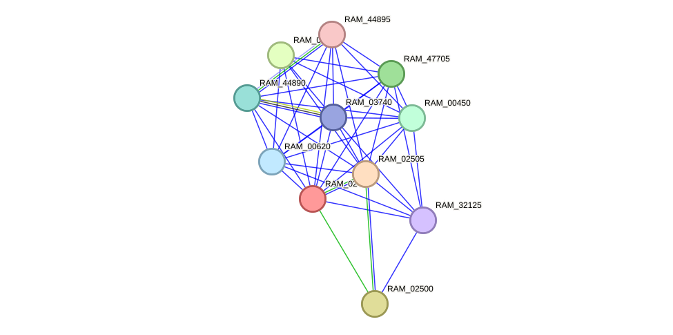 STRING protein interaction network