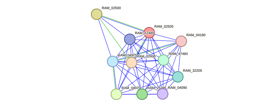 STRING protein interaction network