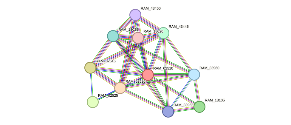STRING protein interaction network