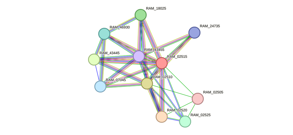 STRING protein interaction network
