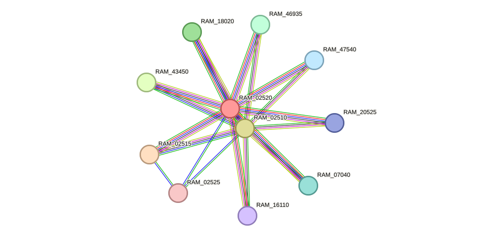 STRING protein interaction network