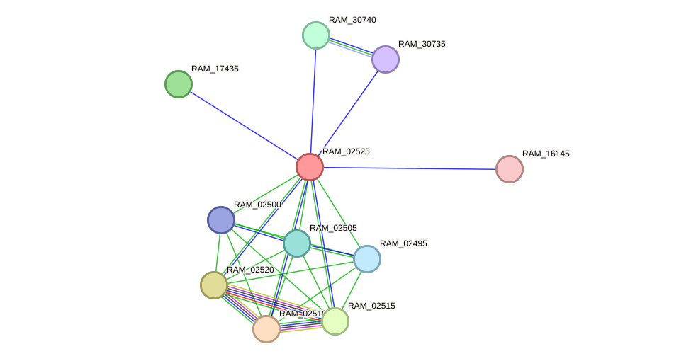 STRING protein interaction network